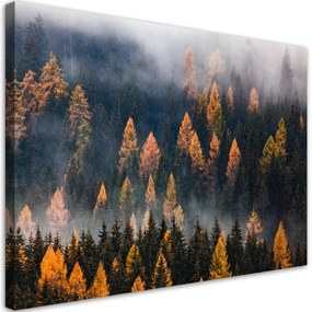 Obraz na plátně, Podzimní stromy - 90x60 cm