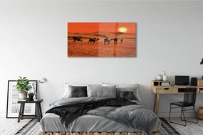 Obraz plexi Ťavy ľudí púštne slnko neba 125x50 cm