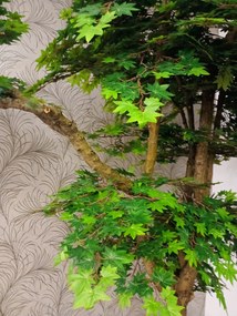 Umelý strom Javor exclusive 200cm