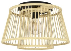 Eglo 43851 - Stropné svietidlo HYKEHAM 1xE27/40W/230V