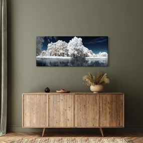 Obraz - Snehobiele stromy (120x50 cm)