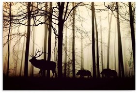 Obraz na plátně, Jelen v lese Fog Brown - 100x70 cm