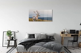 Sklenený obraz jeleň hory 140x70 cm
