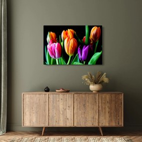 Obraz tulipánov na čiernom pozadí (90x60 cm)