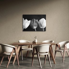Obraz - Čiernobiele kvety tulipánov (70x50 cm)