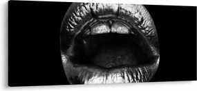 Obraz - Lesklé pery (120x50 cm)