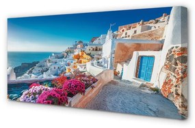 Obraz na plátne Budovy Grécko morské kvety 100x50 cm