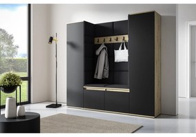 Predsieňová stena AMI 31 Bez zrkadla Dub artisan + čierna Čierna