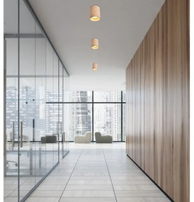 Stropné svietidlo TUBA GU10/15W/230V