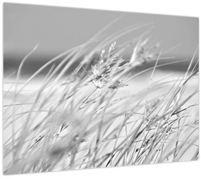 Obraz - Plážová tráva (70x50 cm)