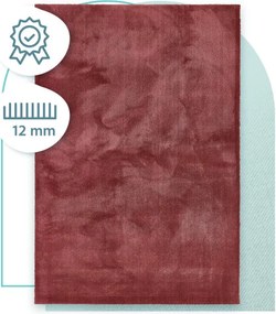 Koberec Balta Desire 71401 010 bordový