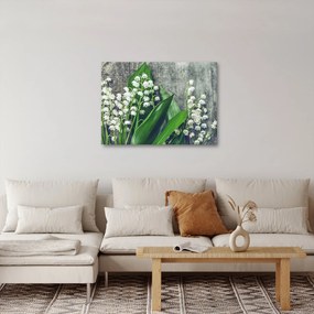Obraz konvaliniek (70x50 cm)