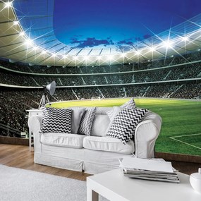 Fototapeta - Futbal (254x184 cm)
