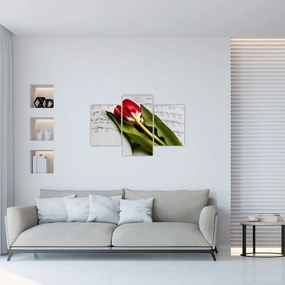 Obraz červeného tulipánu (90x60 cm)