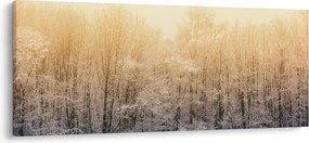 Obraz mrazivého lesa (120x50 cm)