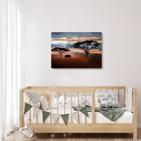 Sklenený obraz - Národný park Serengeti, Tanzánia, Afrika (70x50 cm)