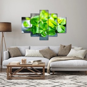 Obraz mäty (150x105 cm)