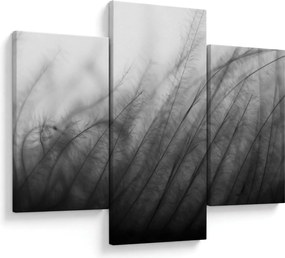 Obraz - Tráva vo vetre (90x60 cm)