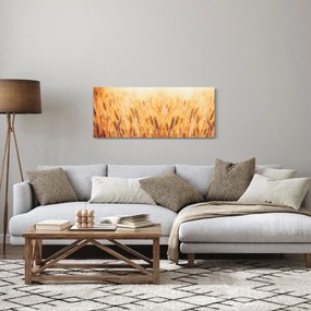 Obraz - pole s obilím (120x50 cm)