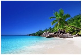 Fototapeta Vliesová Seychelská pláž 312x219 cm