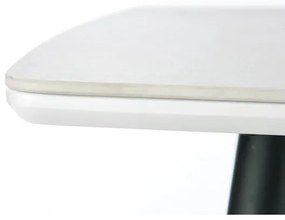 Jedálenský stôl ALARA, dekór biely mramor/čierna