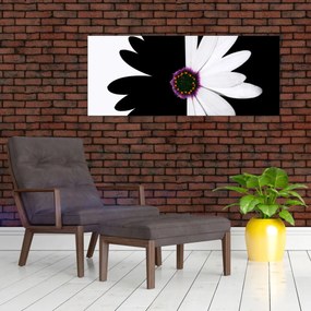 Obraz čiernobieleho kvetu (120x50 cm)
