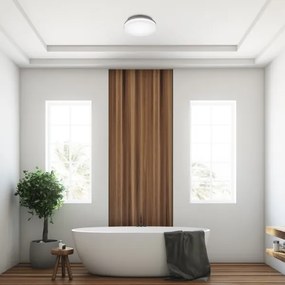 Rabalux - LED kúpeľňové stropné svietidlo LED/18W/230V IP54 3000K/4000K/6000K