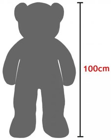 InternetovaZahrada Plyšový medveď XL 100 cm - hnedý