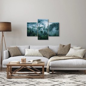 Obraz - Les v hmle (90x60 cm)