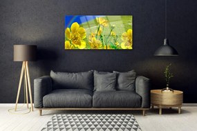 Obraz na skle Lúka kvety dúha príroda 140x70 cm