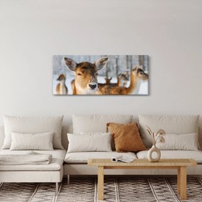 Obraz - Jeleňča (120x50 cm)