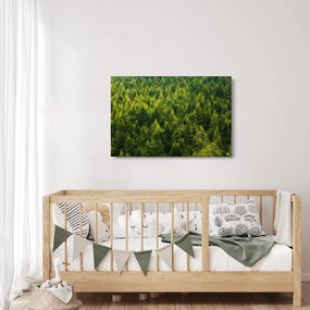 Obraz - Hustý les (90x60 cm)