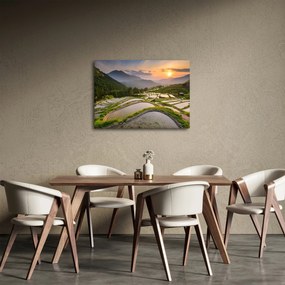 Obraz - Ryžové terasy (70x50 cm)