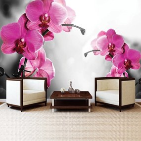 Fototapeta - Orchidey (152,5x104 cm)