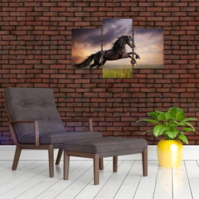 Obraz - Kone (90x60 cm)