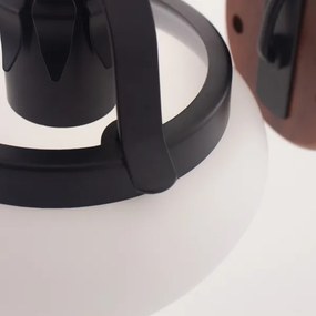 Rabalux 7077 - Nástenné svietidlo PETRONEL E27/60W/230V