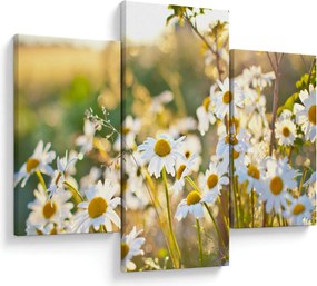 Obraz - Margaréta (90x60 cm)