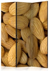 Artgeist Paraván - Tasty almonds [Room Dividers]