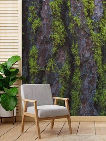 Gario Fototapeta Machová kôra Materiál: Vliesová, Rozmery: 150 x 210 cm
