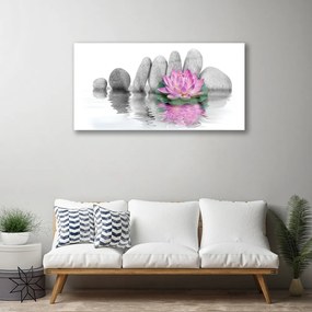 Obraz plexi Kvet kamene umenie 100x50 cm