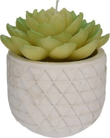 Darčeková sviečka Kaktus v kvetináči – typ 1, 14 cm