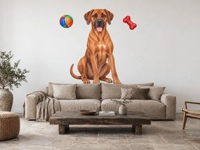 Rhodézsky ridgeback s loptičkou a kosťou realistické textilné nálepky na stenu pre milovníkov ridgebackov arch 30 x 46 cm