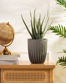 Květináč STRIPPED 19x22,6 cm šedý