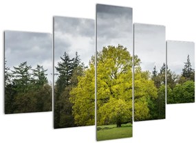 Obraz zeleného stromu uprostred poľa (150x105 cm)