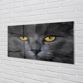 Nástenný panel  Čierna mačka 140x70 cm
