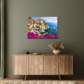 Obraz - Talianska dedinka Manarola (70x50 cm)
