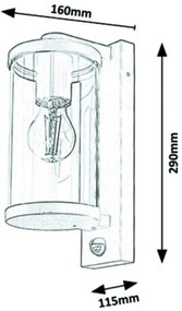 Rabalux - Vonkajšie nástenné svietidlo so senzorom 1xE27/60W/230V IP44