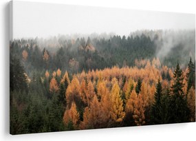 Obraz - Jesenný les (90x60 cm)