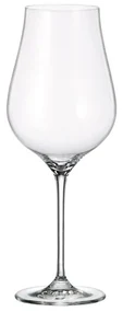 Crystal Bohemia Limosa 650 ml 6 ks