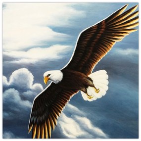 Obraz letiaceho orla